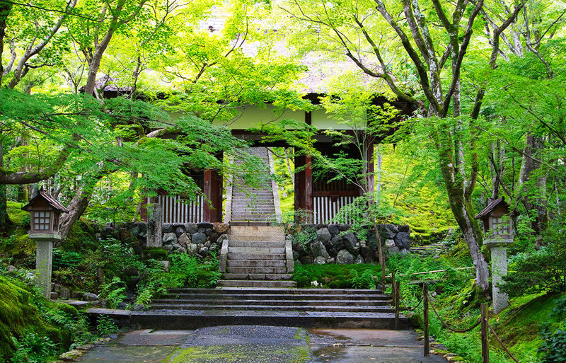 Arashiyama Sagano Train & Hozugawa River Full-Day Cruise - Hozugawa River: the day’s best reason to book