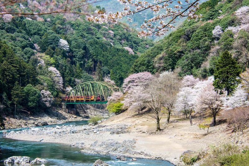Arashiyama Sagano Train & Hozugawa River Full-Day Cruise - Who should choose this full-day outing?