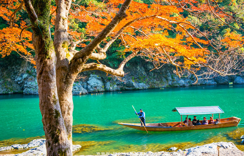 Arashiyama Sagano Train & Hozugawa River Full-Day Cruise - A few practical points before you book
