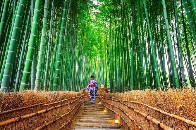 Arashiyama Sanzen-In Temple & Sagano Train Tour from Osaka - Why Choose This Tour?