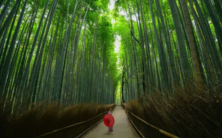 Arashiyama: Self-Guided Audio Tour Through History & Nature - Activity Details
