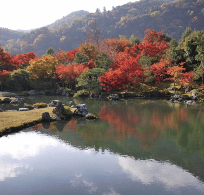 Arashiyama/Tenryu-ji Temple Guided Tour - Who Will Love This Tour?