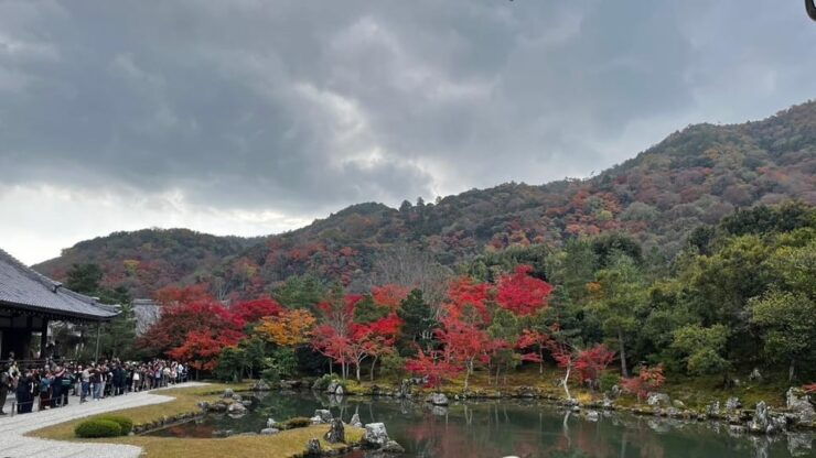 Arashiyama/Tenryu-Ji Tour: Harmony of Nature,Art &Garden - Seasonal Beauty of Arashiyama