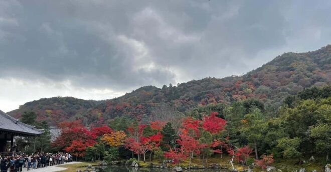 Arashiyama/Tenryu-Ji Tour: Harmony of Nature,Art &Garden - Tenryu-ji Temple Highlights