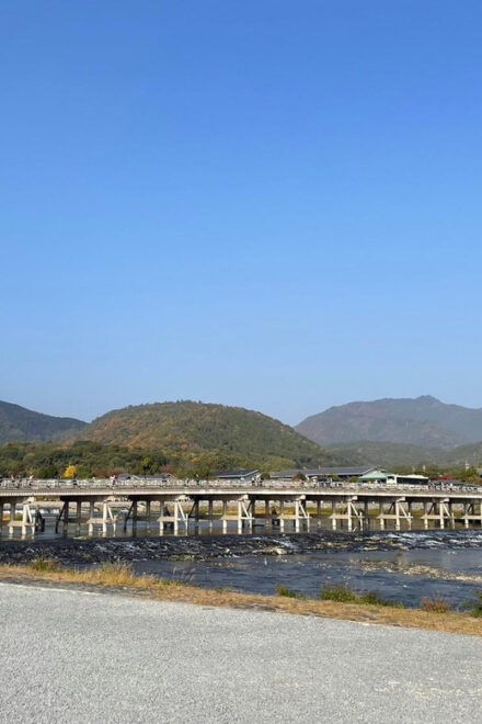 Arashiyama/Tenryu-Ji Tour: Harmony of Nature,Art &Garden - Sogenchi Garden Experience