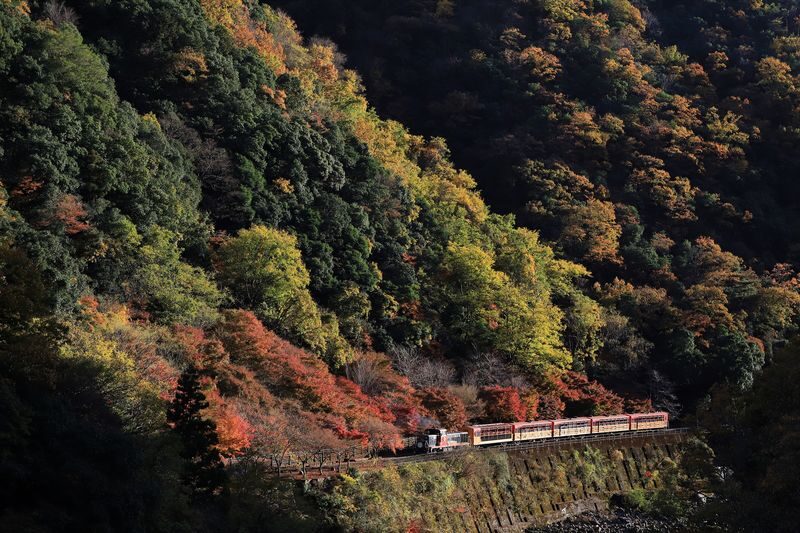 Arashiyama Tour with Optional Sagano Romantic Train Ride - A rail ride, then a walk through Arashiyama