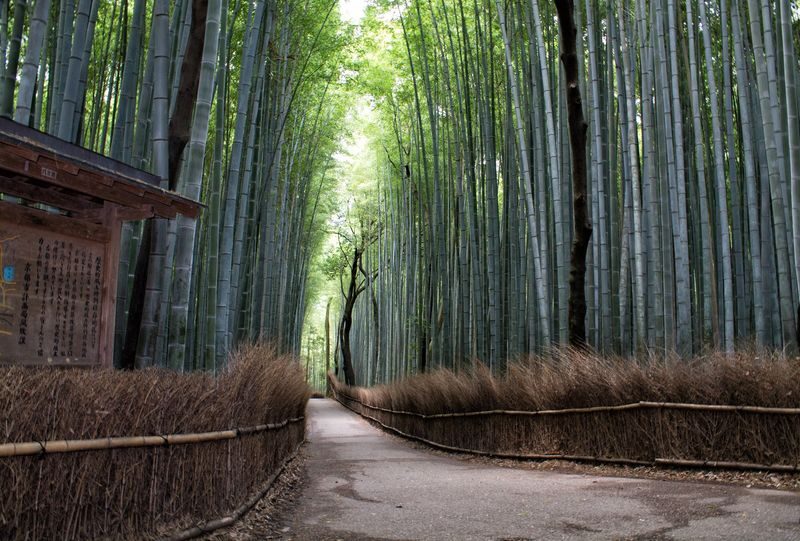 Arashiyama Tour with Optional Sagano Romantic Train Ride - Tenryu-ji’s Zen garden in half an hour