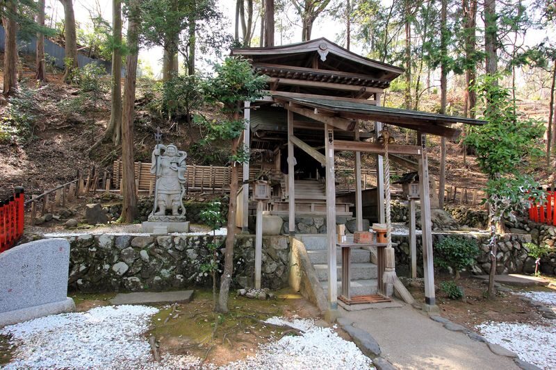 Arashiyama Tour with Optional Sagano Romantic Train Ride - Afternoon timing and a practical caution