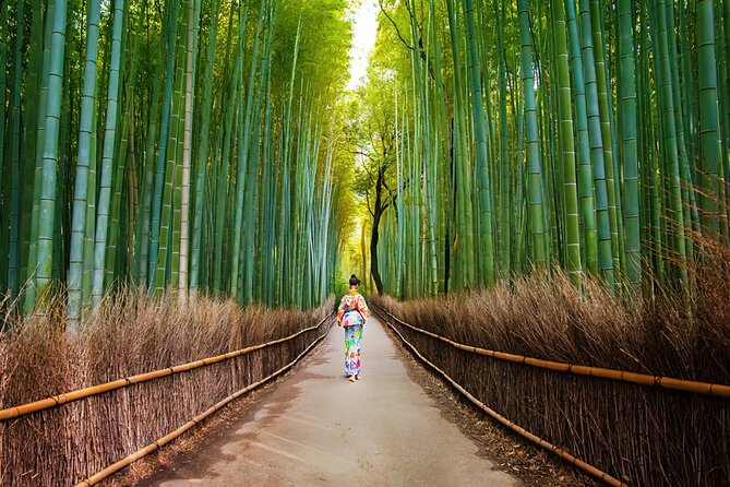 Arashiyama Walking Tour - Bamboo Forest, Monkey Park & Secrets - Discover the Enchanting Bamboo Forest