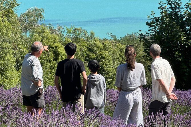 Arataki Conservation - our Journey to Protect our Whenua (land) - Good To Know