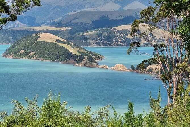 Arataki Conservation - our Journey to Protect our Whenua (land) - Exploring the Itinerary in Detail