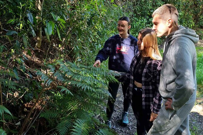 Arataki Conservation - our Journey to Protect our Whenua (land) - The Sum Up