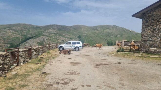 Arbatax: Barbagia Jeep Full-Day Tour - Meeting Point