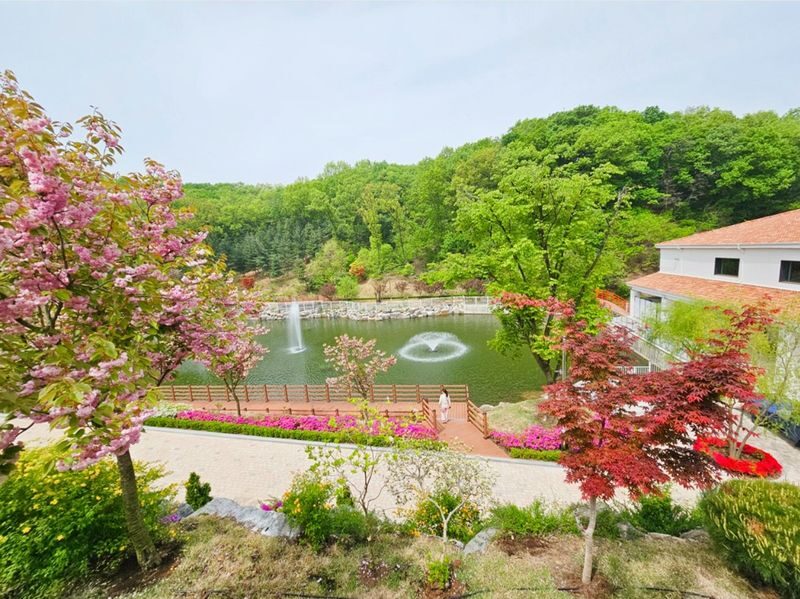 Arboretum Irwol&Ludensia&Korean Folk Village&Starfield Library Tour - What the price covers, and what it does not