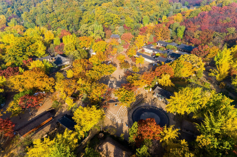 Arboretum Irwol&Ludensia&Korean Folk Village&Starfield Library Tour - Who will get the most from this day out?