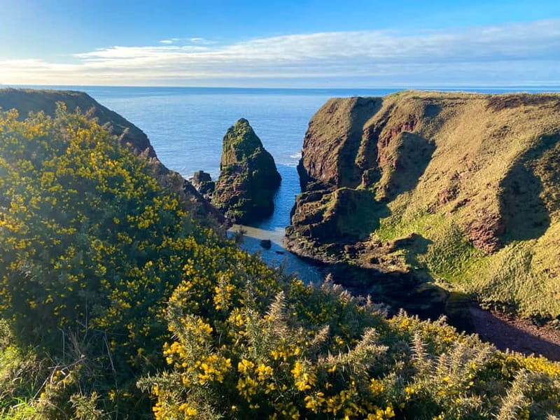 Arbroath: Seaton Cliffs Guided Walking Tour with Geologist - Good To Know