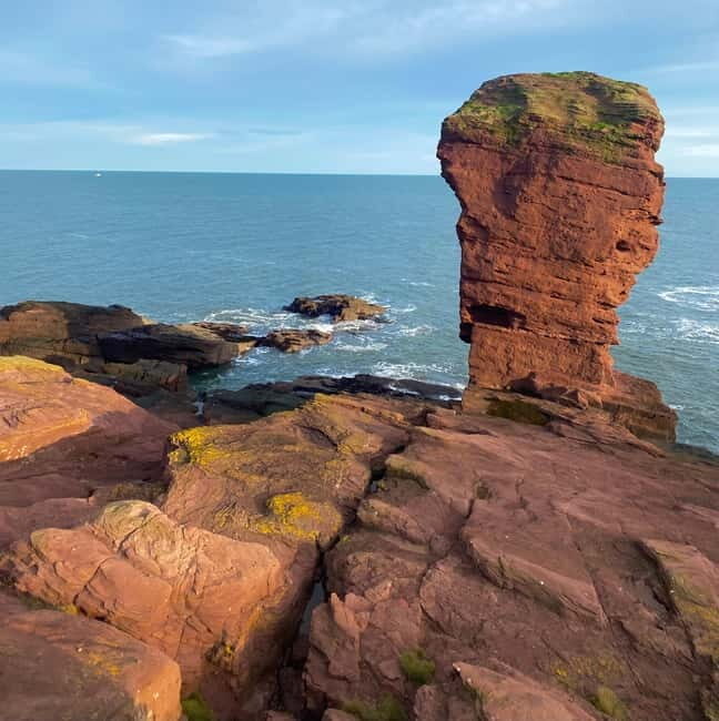 Arbroath: Seaton Cliffs Guided Walking Tour with Geologist - What Makes This Tour Worthwhile?