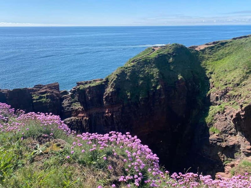 Arbroath: Seaton Cliffs Guided Walking Tour with Geologist - FAQ