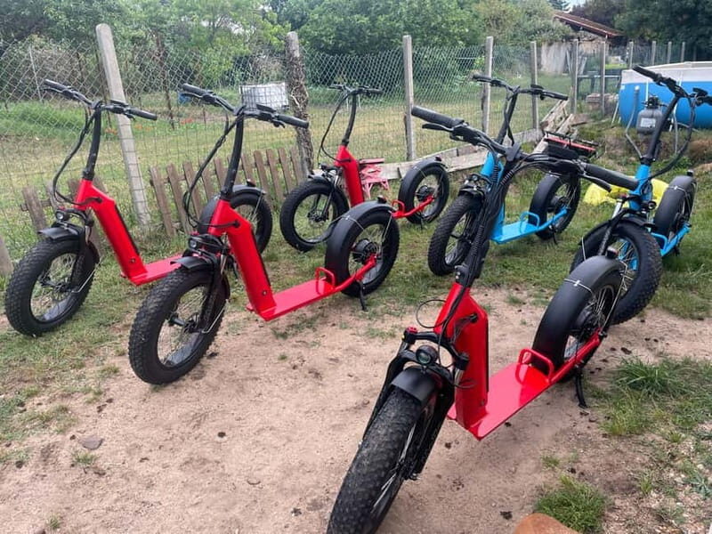 Arcachon Bay: electric scooter rides with a variety of routes. - Who Should Consider This Tour?