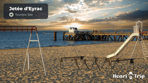 Arcachon : The Only Guide - User Experiences and Feedback