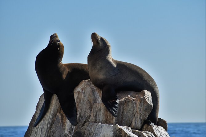 Arch of Cabo San Lucas Lands End Small-Group Snorkeling Tour - Booking and Cancellation Policy