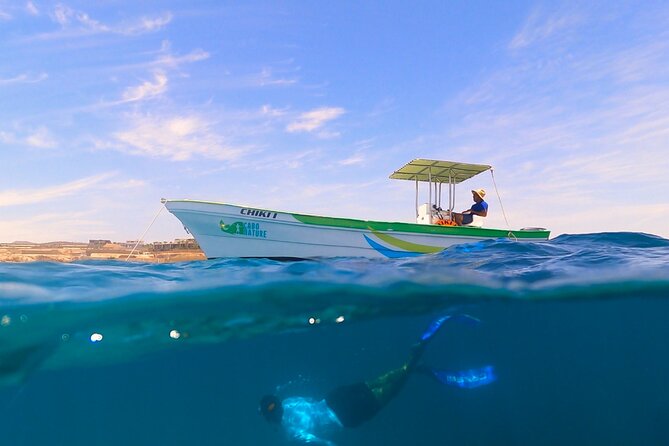 Arch of Cabo San Lucas Lands End Small-Group Snorkeling Tour - Common Questions