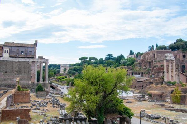 Archaeo Rome Guided Tour: the Roman Forum & Palatine Hill - Sights and Highlights