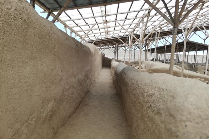  Archaeological Chan Chan Tour - Review Example and Host Response