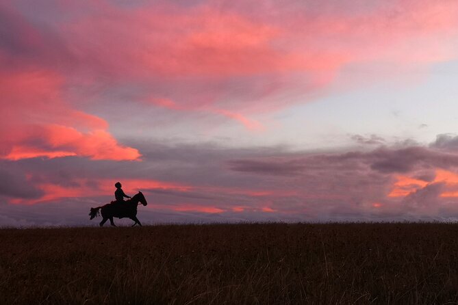 Archaeological Horseback Riding off the Tourist Routes in Rapa Nui - Additional Information and Cancellation Policy