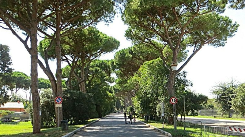 Archaeological Park of Ostia Antica ticket in Rome - Find the Theater and Make Room for a Pause