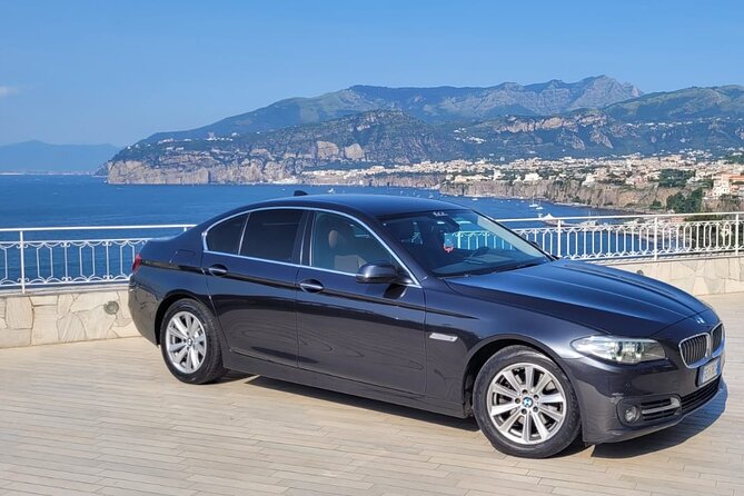 Archaeological Site of Pompeii - Pompeiis Destruction and Rediscovery