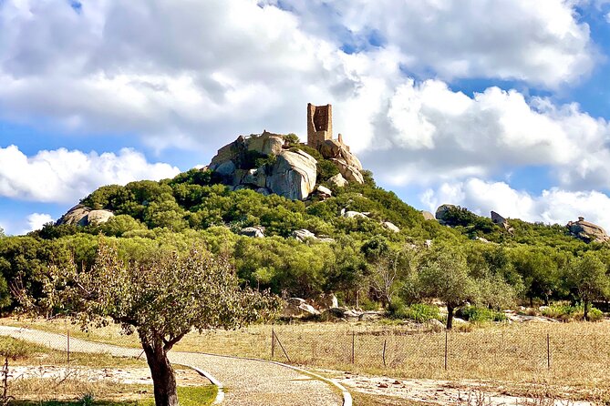 Archaeological Sites and Monuments in Sardinia: Small Group - Tour Details and Pricing