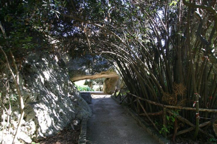 Archaeological Syracuse: Neapolis Park Private Tour - Tour Details
