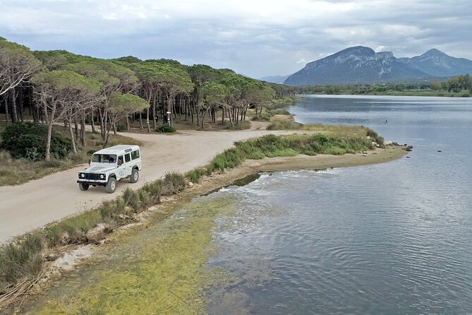 Archeology, Visit to a Vineyard and Wine and Pecorino Cheese Tasting - Wetlands for Bird Spotting