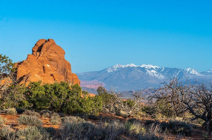 Arches National Park Half Day Tour - Pricing & Value