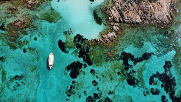 Archipelago of La Maddalena: Tour in Motorboat - Logistics and Meeting Point