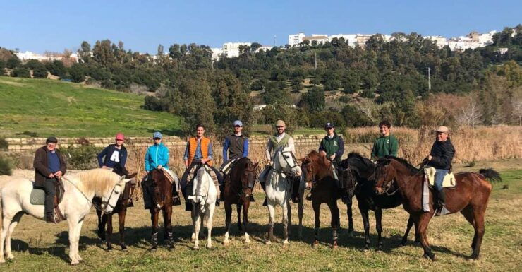 Arcos De La Frontera: Horseback Riding Experience - Horse Information