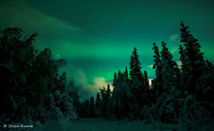 Arctic Adventure: Northern Lights Hunting With Snowmobiles - Experience Details
