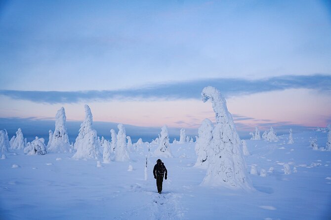 Arctic Adventure Through Magical Frozen Forests of Riisitunturi - Winter Wonders: Discovering Riisitunturis Magic