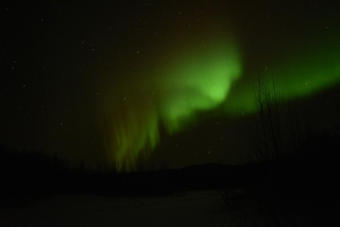 Arctic Circle and Northern Lights Tour From Fairbanks - Tour Details