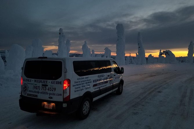 Arctic Circle and Northern Lights Tour From Fairbanks - Positive Experiences