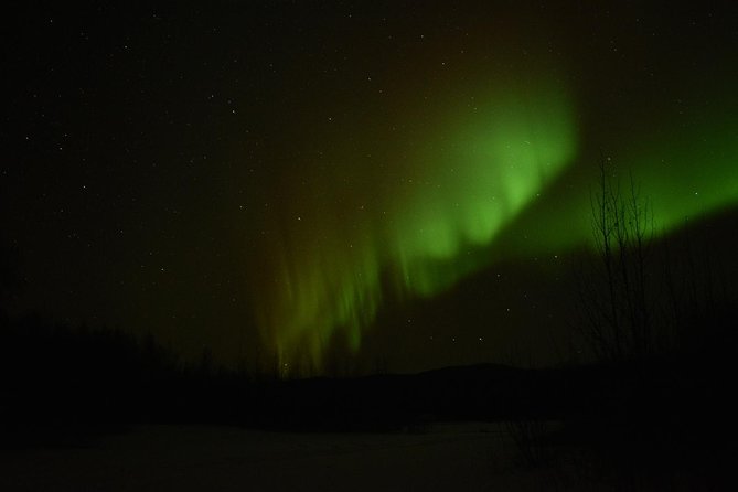 Arctic Circle and Northern Lights Tour From Fairbanks - Disappointments
