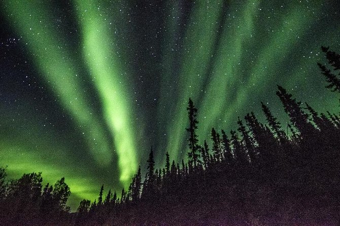 Arctic Circle and Northern Lights Tour From Fairbanks - Appreciation for the Guide
