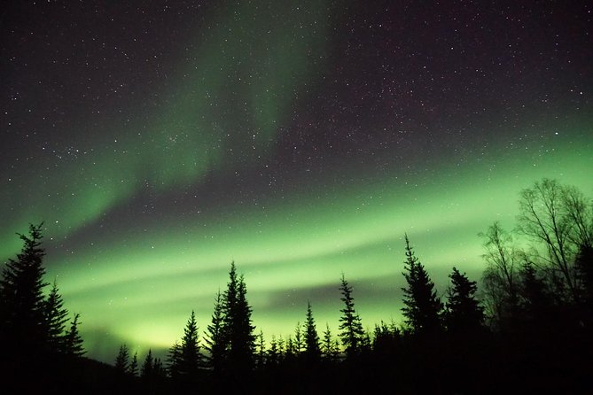 Arctic Circle and Northern Lights Tour From Fairbanks - Common Questions