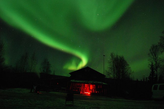 Arctic Circle Aurora Driving Adventure - Traveler Photos and Reviews