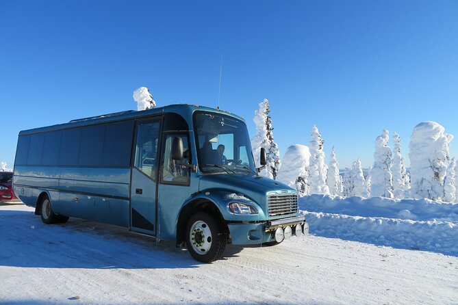 Arctic Circle Aurora Driving Adventure - Arctic Circle Location