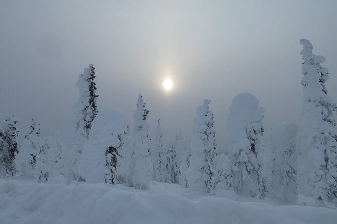 Arctic Circle Aurora Driving Adventure - Tips for Aurora Viewing