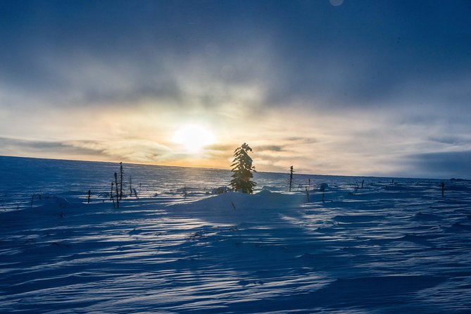 Arctic Circle Aurora Driving Adventure - Common Questions