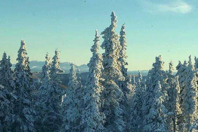 Arctic Circle Day Trip From Fairbanks With Transportation - Tour Logistics and Cancellation Policy