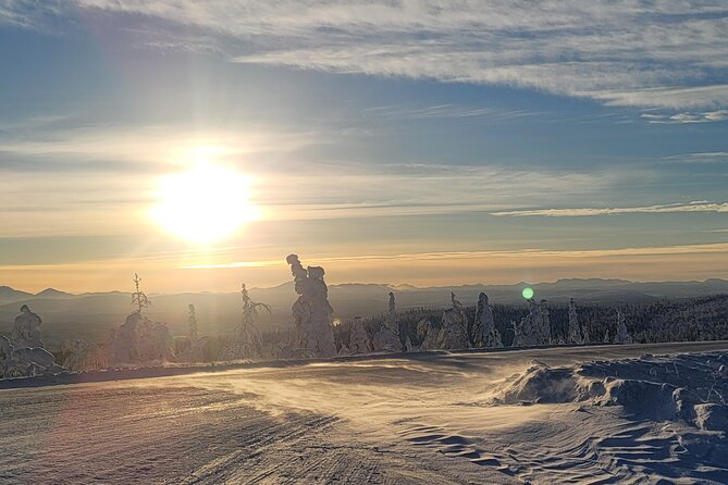 Arctic Circle Expedition From Fairbanks - Traveler Photos and Reviews